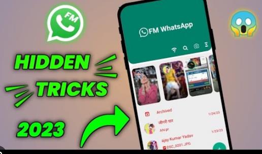 Top 10 Hidden Features of FM WhatsApp You Should Know